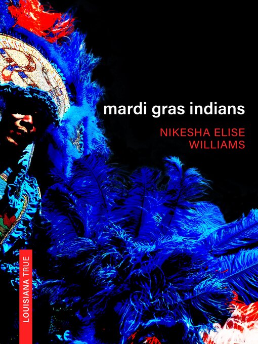 Cover image for Mardi Gras Indians